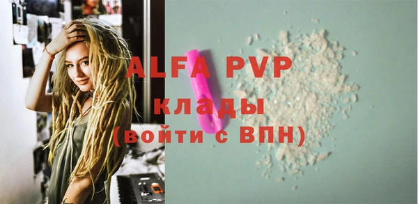 PSILOCYBIN Вязьма