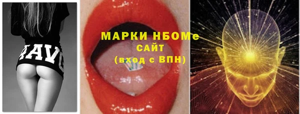 гидра Горняк