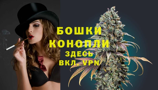 PSILOCYBIN Вязьма