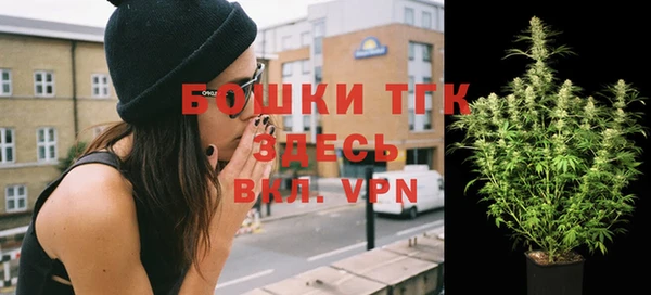 PSILOCYBIN Вязьма