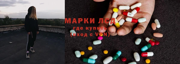 PSILOCYBIN Вязьма