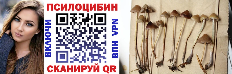 Галлюциногенные грибы Psilocybine cubensis  ссылка на мегу как зайти  Можга 