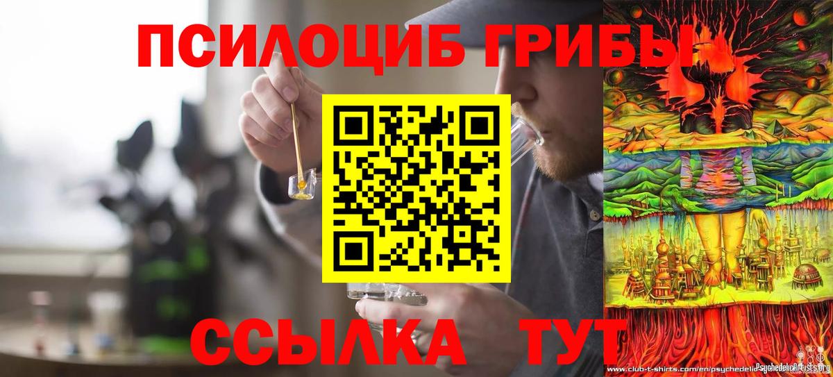 Псилоцибиновые грибы прущие грибы Можга